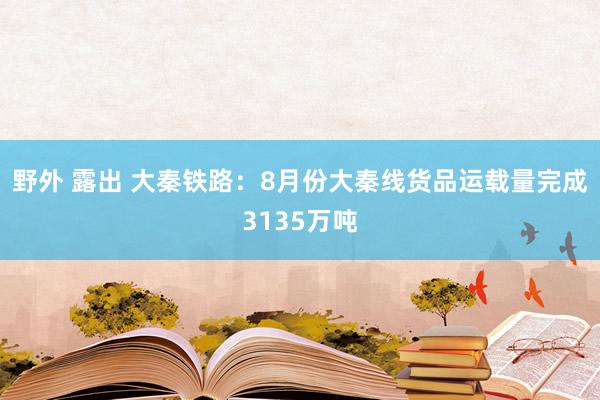 野外 露出 大秦铁路：8月份大秦线货品运载量完成3135万吨