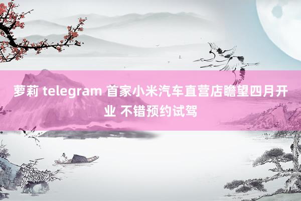 萝莉 telegram 首家小米汽车直营店瞻望四月开业 不错预约试驾