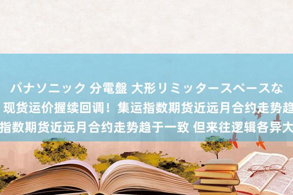 パナソニック 分電盤 大形リミッタースペースなし 露出・半埋込両用形 现货运价握续回调！集运指数期货近远月合约走势趋于一致 但来往逻辑各异大