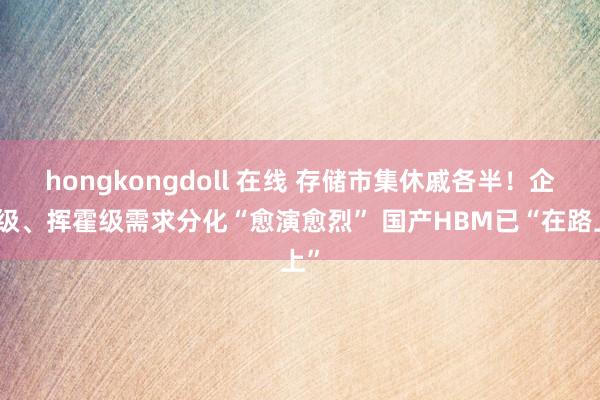hongkongdoll 在线 存储市集休戚各半！企业级、挥霍级需求分化“愈演愈烈” 国产HBM已“在路上”