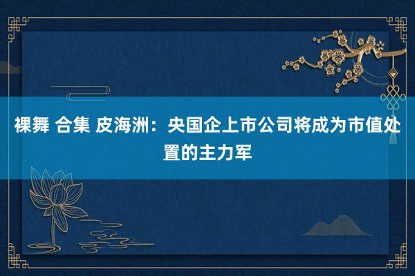 裸舞 合集 皮海洲：央国企上市公司将成为市值处置的主力军