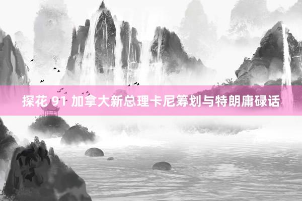 探花 91 加拿大新总理卡尼筹划与特朗庸碌话