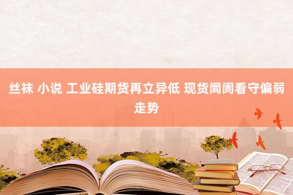 丝袜 小说 工业硅期货再立异低 现货阛阓看守偏弱走势