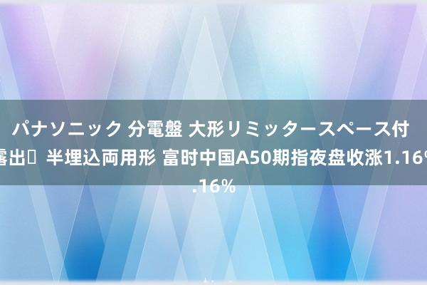 パナソニック 分電盤 大形リミッタースペース付 露出・半埋込両用形 富时中国A50期指夜盘收涨1.16%
